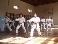 T�pi�gy�rgyei edz�t�bor 2008