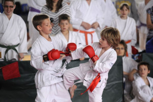 Topolyai M�t� - Kumite k�zben