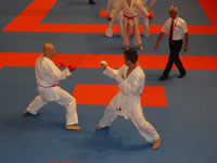 WUKF Vil�gbajnoks�g 2013