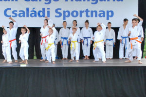 Karate bemutat� - Sportnap