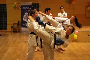 Karate bemutat� - A BRFK Farsangon