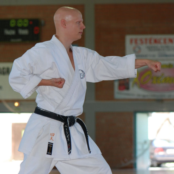 P�nzes Tam�s danvizsga k�zben